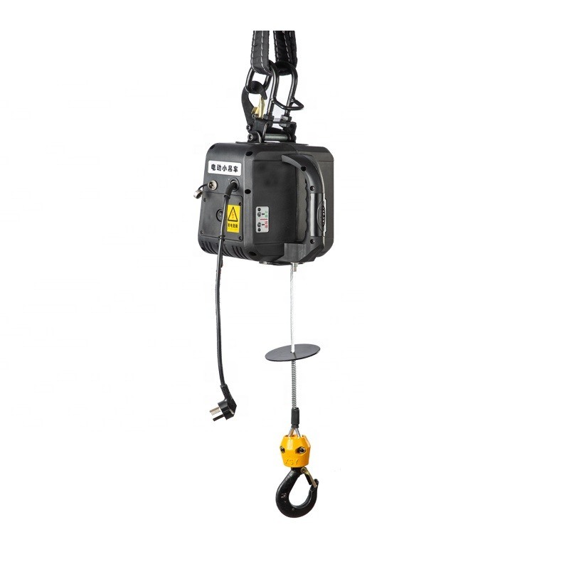 Portable Electric Hoist from China